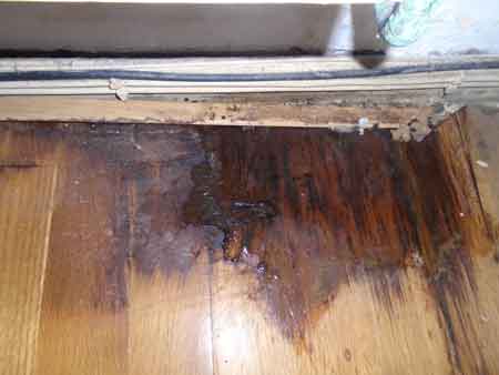 Repair Wood Floor Water Damage Water Damage Philadelphia